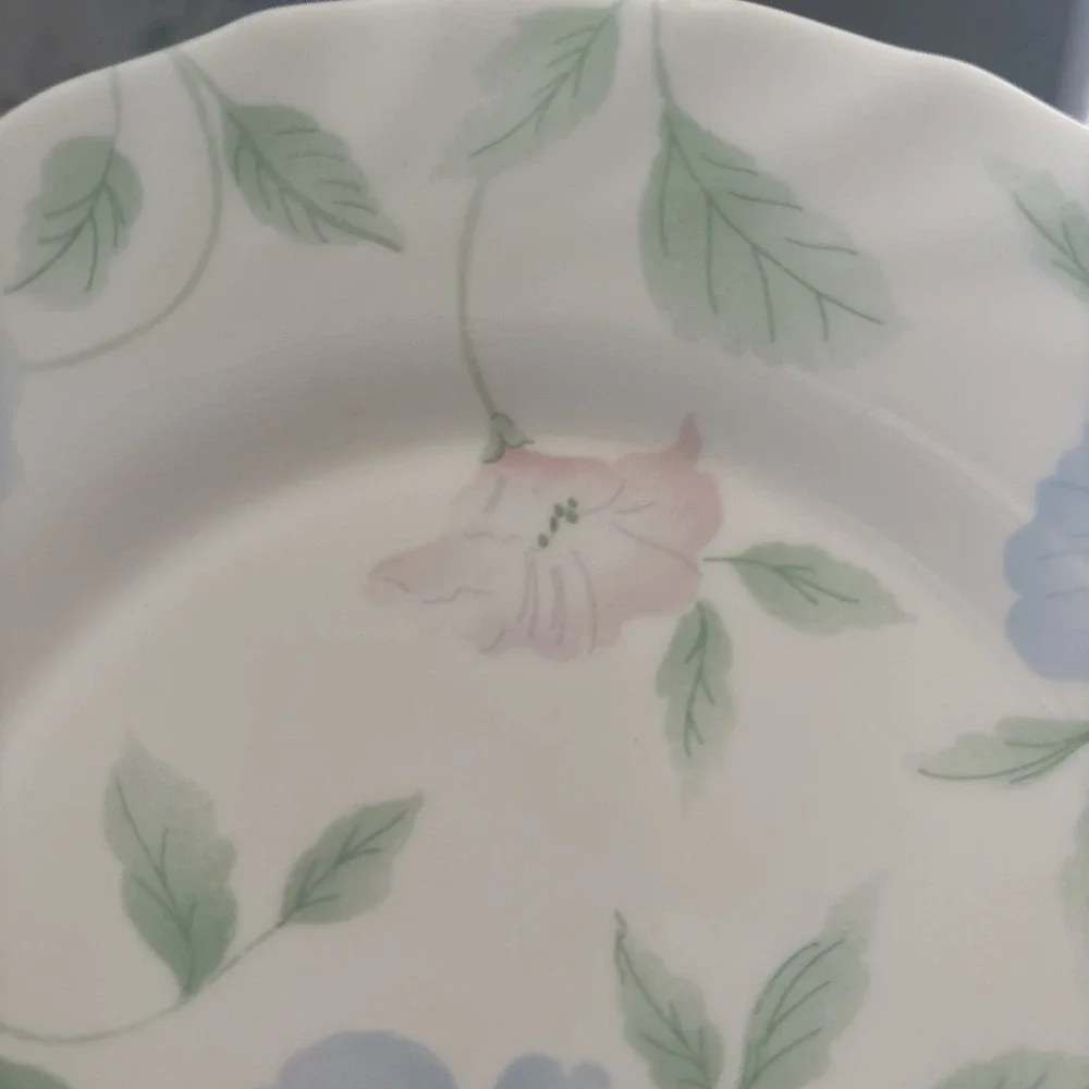 Set of 8 Arcopal France 'Chloe' Salad Plates 7.75